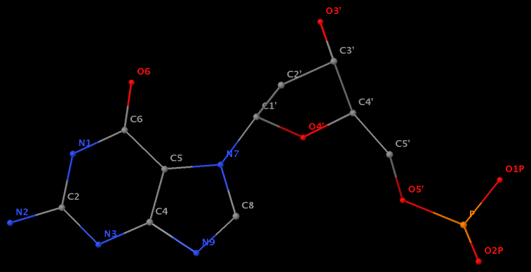 N7-glycosylated guanine