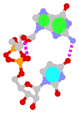 GpU dinucleotide platform