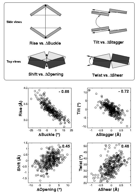 intrinsic correlations of base-pair and dimer step parameters